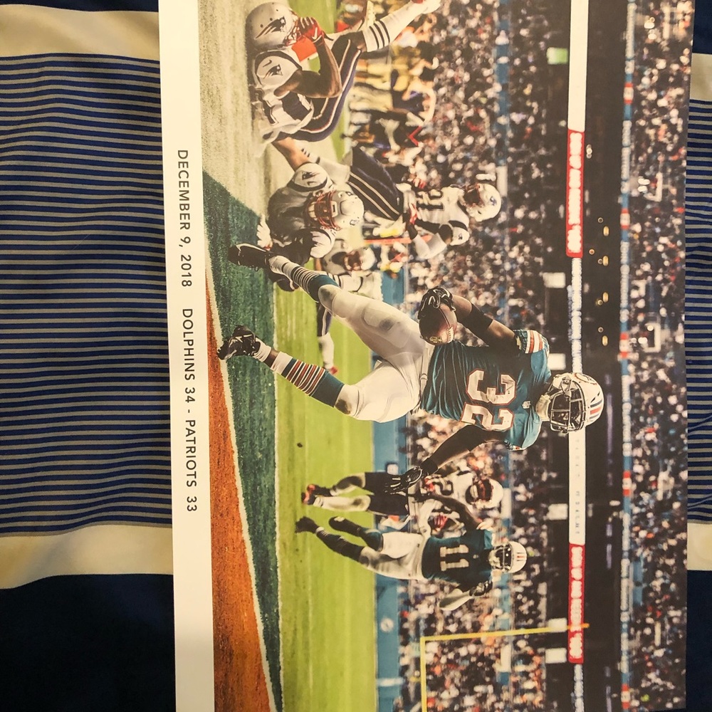 new dolphins poster